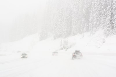车辆行驶在积雪覆盖的树木附近的道路上